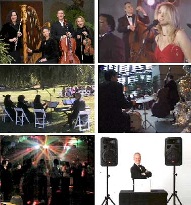 Wedding Music Packages