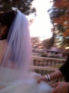 Bridal Procession 2
