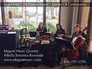Elegant Music Quartet