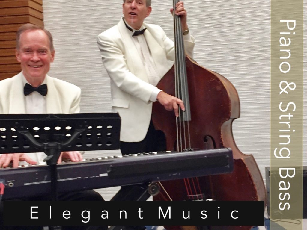 Piano and String Bass Duo